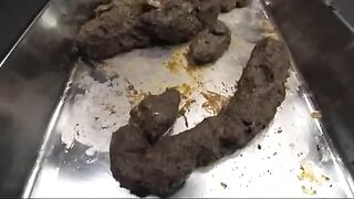 Japanese Teen Eating Shit