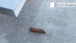 Cutie Camryn Pees and Poops on a Park Bench