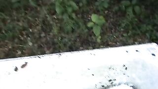 pooping outdoors