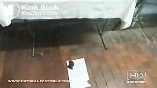 clip1