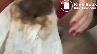 Scat Queen And Her Male Toilet