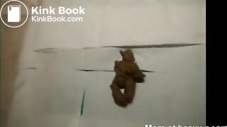 Brown Shit Ejected From Black Ass