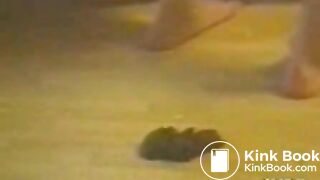 Random Girls Shitting Videos