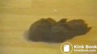 Random Girls Shitting Videos