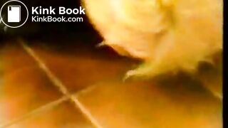 scat a slut slave girl eat shit n drink piss (caution it's hmpeg