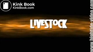 pm25_livestock