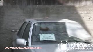 Shitting on car top