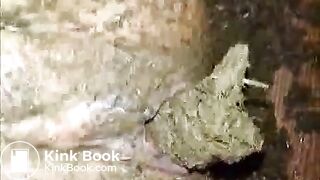 Horse Shit Play 2 American Amateur Scat MILF