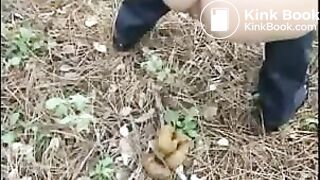 In the forest