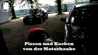 Pissing and shitting on car hood