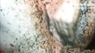she plays with shit