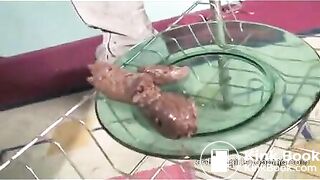 Hot college girl Cassandra pooping on the plate - Scat Video Collection