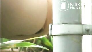 WildAssShit3
