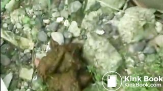 WildAssShit3