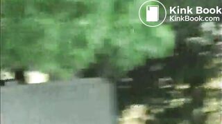 WildAssShit3