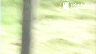 WildAssShit3