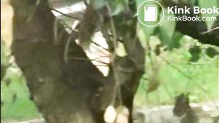 WildAssShit3