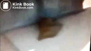 Disgusting bitch takes a shit on a bus stop bench