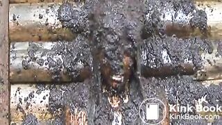 cow shit 6flv