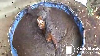 cow shit 6flv