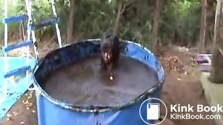 cow shit 6flv
