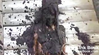 cow shit 6flv