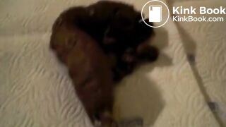 Girl Lays Down A Big Turd