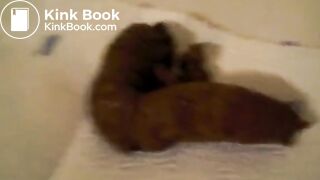 Girl Lays Down A Big Turd