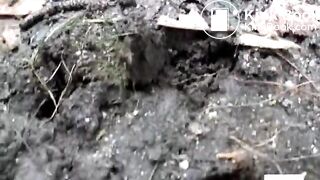 Asian outdoor scat 4