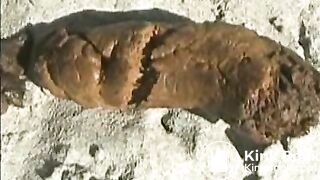 beach poop