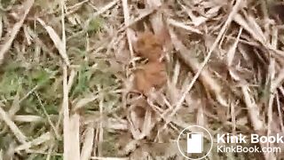 Girl with pretty ass taping herself pooping outdoor