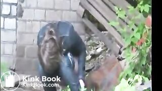 Scat