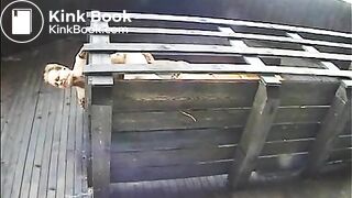 scatpee
