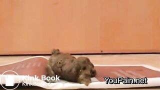 ops