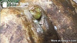 Shitty Pussy Insertions