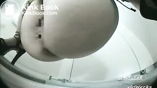 Hidden Japanese Potty Cams