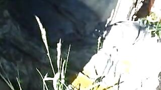 scat sg-0003 - shitting on rock in nature