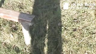 clip107