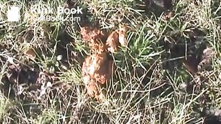clip107