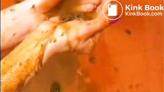 From Anal to Scat Play