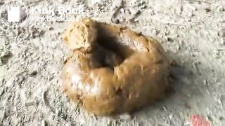 Pooping_2