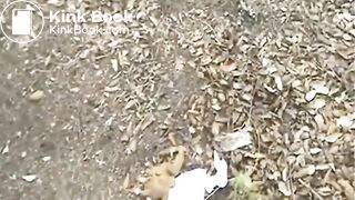 Elena Pooping Collection