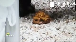 Girl taking a dump in public