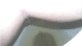 Big Shit in toilet