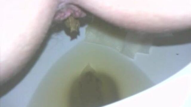 Big Shit in toilet