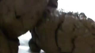 Shitting on Floor