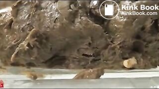 Asian Woman - Dream Turd 2