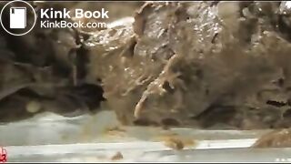 Asian Woman - Dream Turd 2