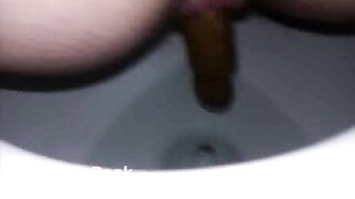 LOGinTOILET