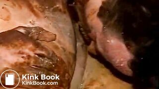 LZ4915-6-005wmv-high